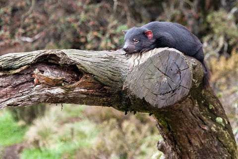 Day Keeper Tour - Restaurant Canberra 0