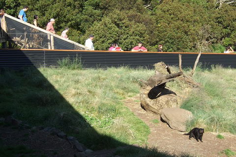 Day Keeper Tour - Restaurant Canberra 2