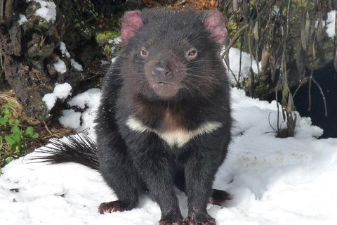Day Keeper Tour - Restaurant Canberra 4