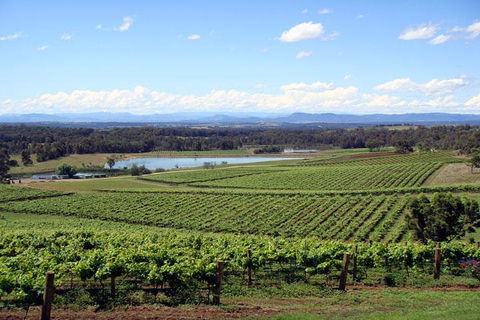Private Hunter Valley Wine-Tasting Day Tour From Sydney - Restaurant Canberra 0