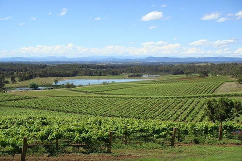 Private Hunter Valley Wine-Tasting Day Tour From Sydney - Restaurant Canberra 1
