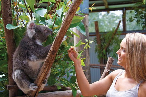 Private Guided Tour: Blue Mountains Tour From Sydney - Restaurant Canberra 5