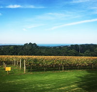 Yarra Valley Private Car Winery Tour And Chocolate.1-7 Passengers One Car Price - Restaurant Canberra