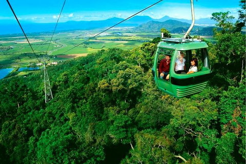 4-Day Cairns Ultimate Combo: Daintree Rainforest, Reef, Kuranda & Paronella Park - Restaurant Canberra 1