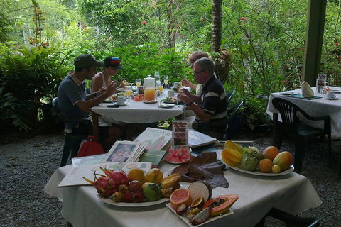 4-Day Cairns Ultimate Combo: Daintree Rainforest, Reef, Kuranda & Paronella Park - Restaurant Canberra 4