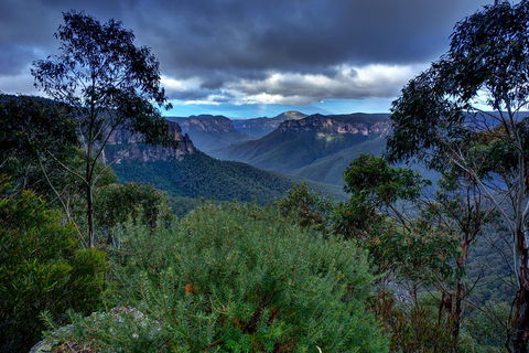 Ultimate Blue Mountains And Wildlife Tour - Restaurant Canberra 1