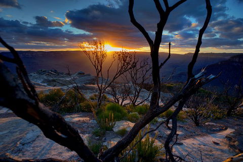 Ultimate Blue Mountains And Wildlife Tour - Restaurant Canberra 2