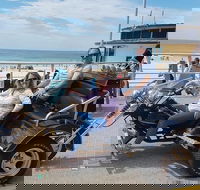Bondi  Sydney Sights Trike Tour 1.5hrs - Restaurant Canberra