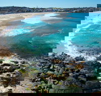 Private Sydney Foreshores and Beaches SUV Tour - Restaurant Canberra