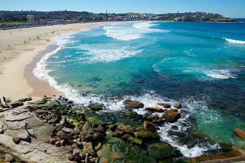 Private Sydney Foreshores And Beaches SUV Tour - Restaurant Canberra 0