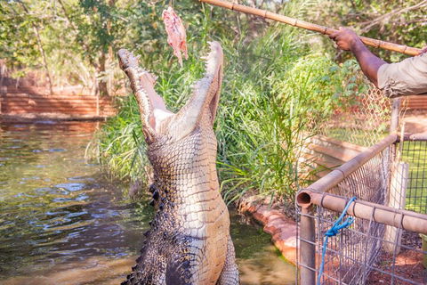Malcolm Douglas Crocodile Park Tour Including Transportation - Restaurant Canberra 5