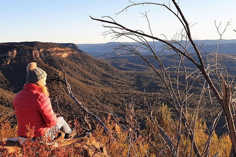 Ultimate Blue Mountains Waterfalls, Walks & Sunset PRIVATE Tour - Restaurant Canberra 2