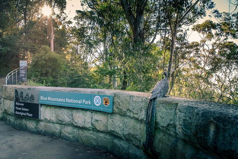 Ultimate Blue Mountains Waterfalls, Walks & Sunset PRIVATE Tour - Restaurant Canberra 3