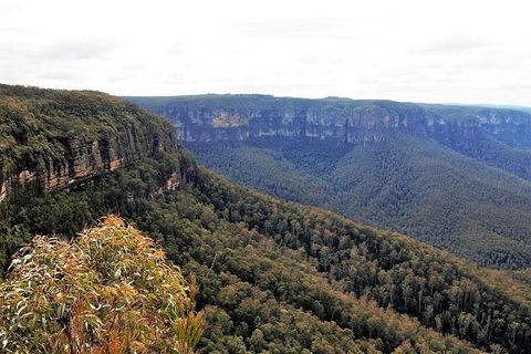 Blue Mountains - Restaurant Canberra 3