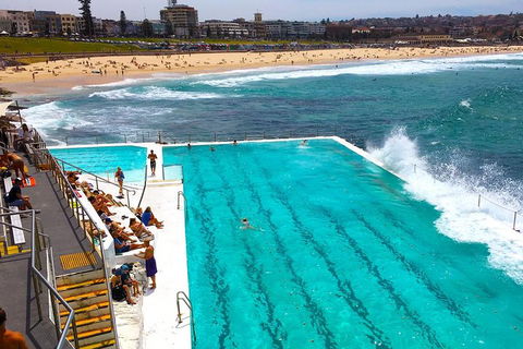 Private Sydney Half Day Tour Including Sydney Opera House And Bondi Beach - Restaurant Canberra 1