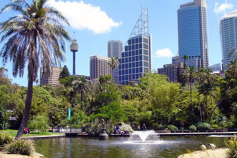 Private Sydney Half Day Tour Including Sydney Opera House And Bondi Beach - Restaurant Canberra 4
