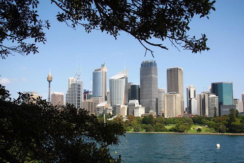 Private Sydney Half Day Tour Including Sydney Opera House And Bondi Beach - Restaurant Canberra 5