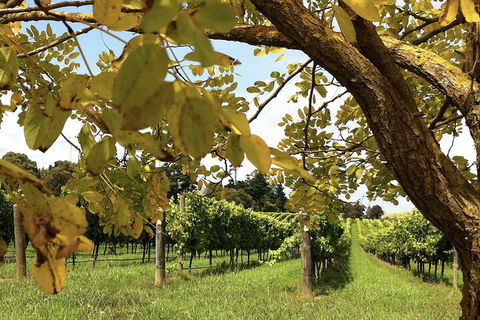 Private Southern Highlands Day Trip From Sydney Including Fitzroy Falls - Restaurant Canberra 5