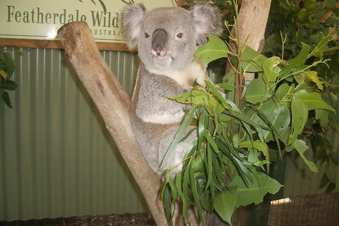 Full-Day Private Blue Mountains Tour With River Cruise - Restaurant Canberra 2
