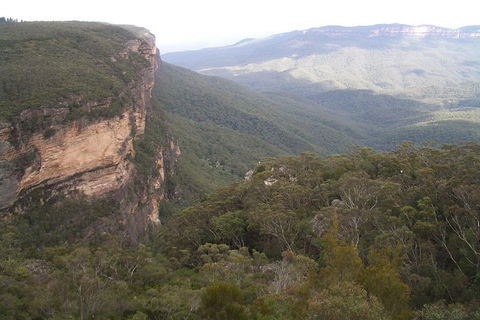 Full-Day Private Blue Mountains Tour With River Cruise - Restaurant Canberra 3