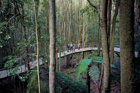Private All Blue Mountains Day Tour - Restaurant Canberra 4