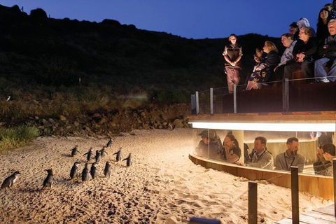 Wilson's Promontory & Phillip Island - 'Prom & Penguins' Tour - Restaurant Canberra 3