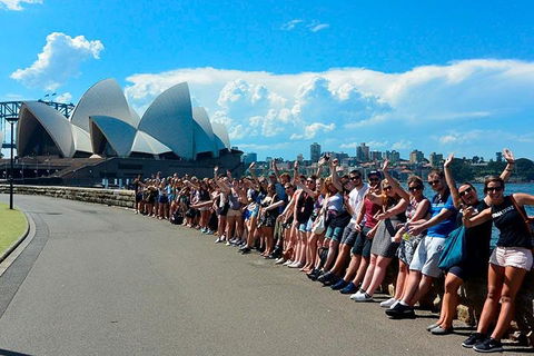 7-Day Tour In Sydney With Airport Pickup - Restaurant Canberra 3