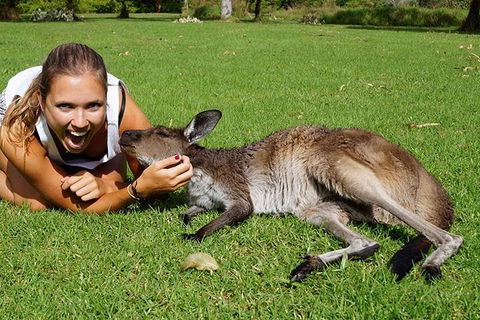7-Day Tour In Sydney With Airport Pickup - Restaurant Canberra 4