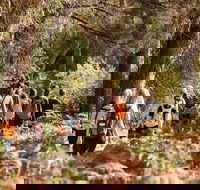 Half-Day Yanchep Ghost House Wilderness Guided Hike Tour - Restaurant Canberra