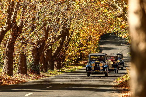 Blue Mountains Vintage Cadillac Tour With Local Guide - Restaurant Canberra 1