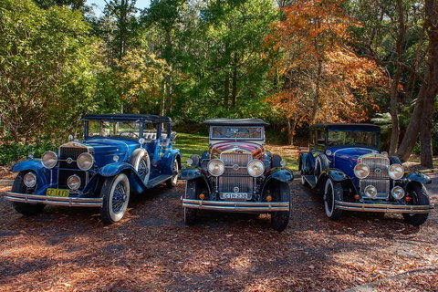 Blue Mountains Vintage Cadillac Tour With Local Guide - Restaurant Canberra 4
