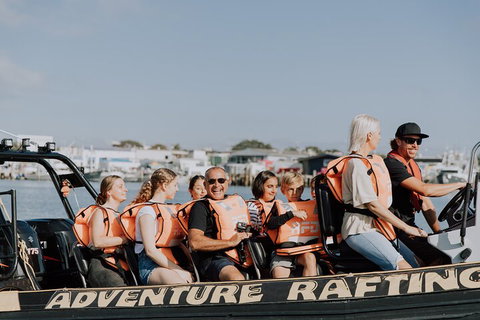 Adventure Whale Watching Tour Mooloolaba - Restaurant Canberra 4