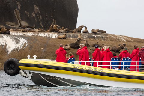 Wilsons Promontory Wilderness Cruise From Tidal River - Restaurant Canberra 1