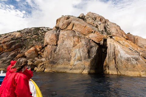 Wilsons Promontory Wilderness Cruise From Tidal River - Restaurant Canberra 3