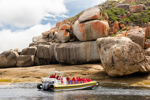Wilsons Promontory Wilderness Cruise From Tidal River - Restaurant Canberra 4