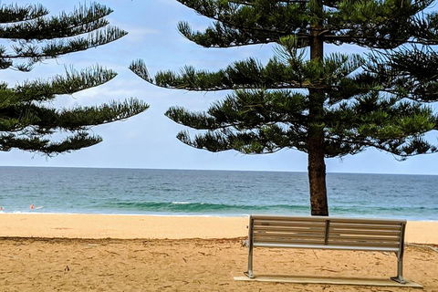Manly & Sydney's Northern Beaches With 'Personalised Sydney Tours' - Restaurant Canberra 0