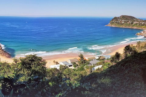Manly & Sydney's Northern Beaches With 'Personalised Sydney Tours' - Restaurant Canberra 2