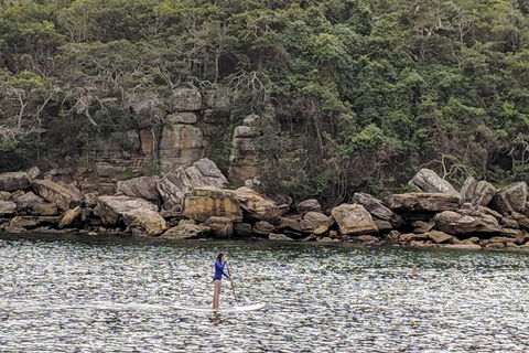 Manly & Sydney's Northern Beaches With 'Personalised Sydney Tours' - Restaurant Canberra 3