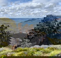Blue Mountains Private Tour - wild kangaroos waterfalls and The Three Sisters - Restaurant Canberra