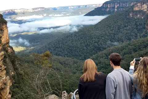 Blue Mountains Private Tour - Wild Kangaroos, Waterfalls And The Three Sisters - Restaurant Canberra 3