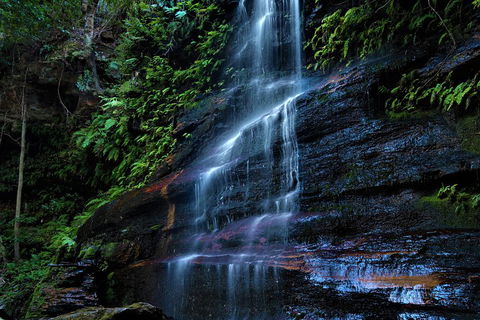Blue Mountains Off The Beaten Track 4WD Day Adventure - Restaurant Canberra 4