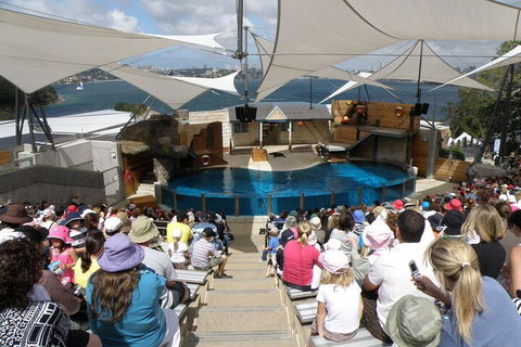 Sydney Taronga Zoo General Entry Ticket - Restaurant Canberra 5