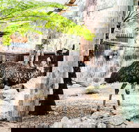 Sydney Taronga Zoo General Entry Ticket and Wild Australia Experience - Restaurant Canberra