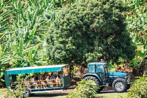 Tropical Fruit World With Wildlife Boat Cruise From Gold Coast - Restaurant Canberra 1