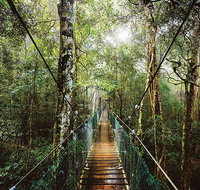O'Reilly's  Lamington National Park from Gold Coast - Restaurant Canberra