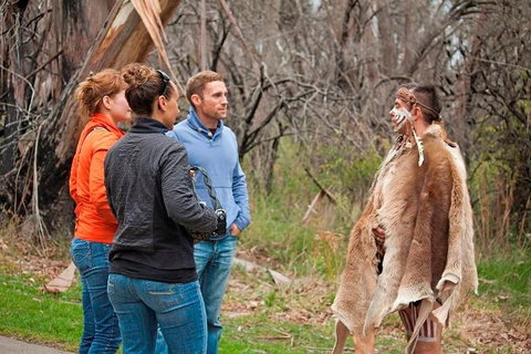Blue Mountains Tour From Sydney With An Aboriginal Experience - Restaurant Canberra 3