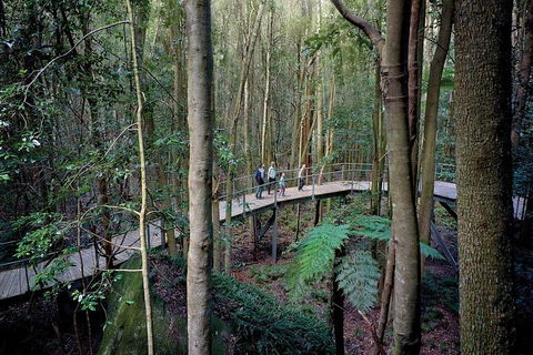 Blue Mountains PRIVATE Day Tour - Restaurant Canberra 5
