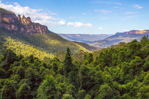 Blue Mountains Nature And Wildlife Day Tour From Sydney - Restaurant Canberra 1