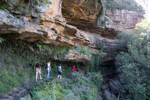 Blue Mountains Nature And Wildlife Day Tour From Sydney - Restaurant Canberra 2