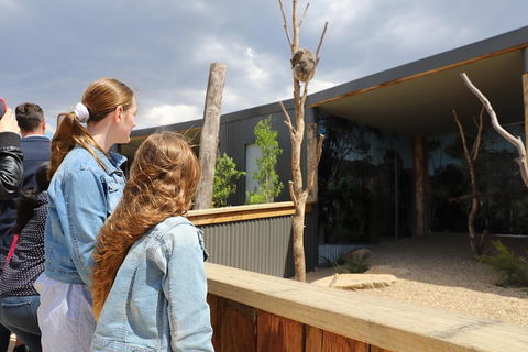 Blue Mountains Nature And Wildlife Day Tour From Sydney - Restaurant Canberra 3